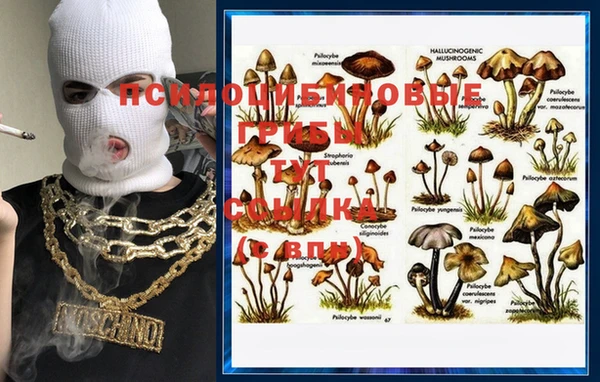 винт Бородино